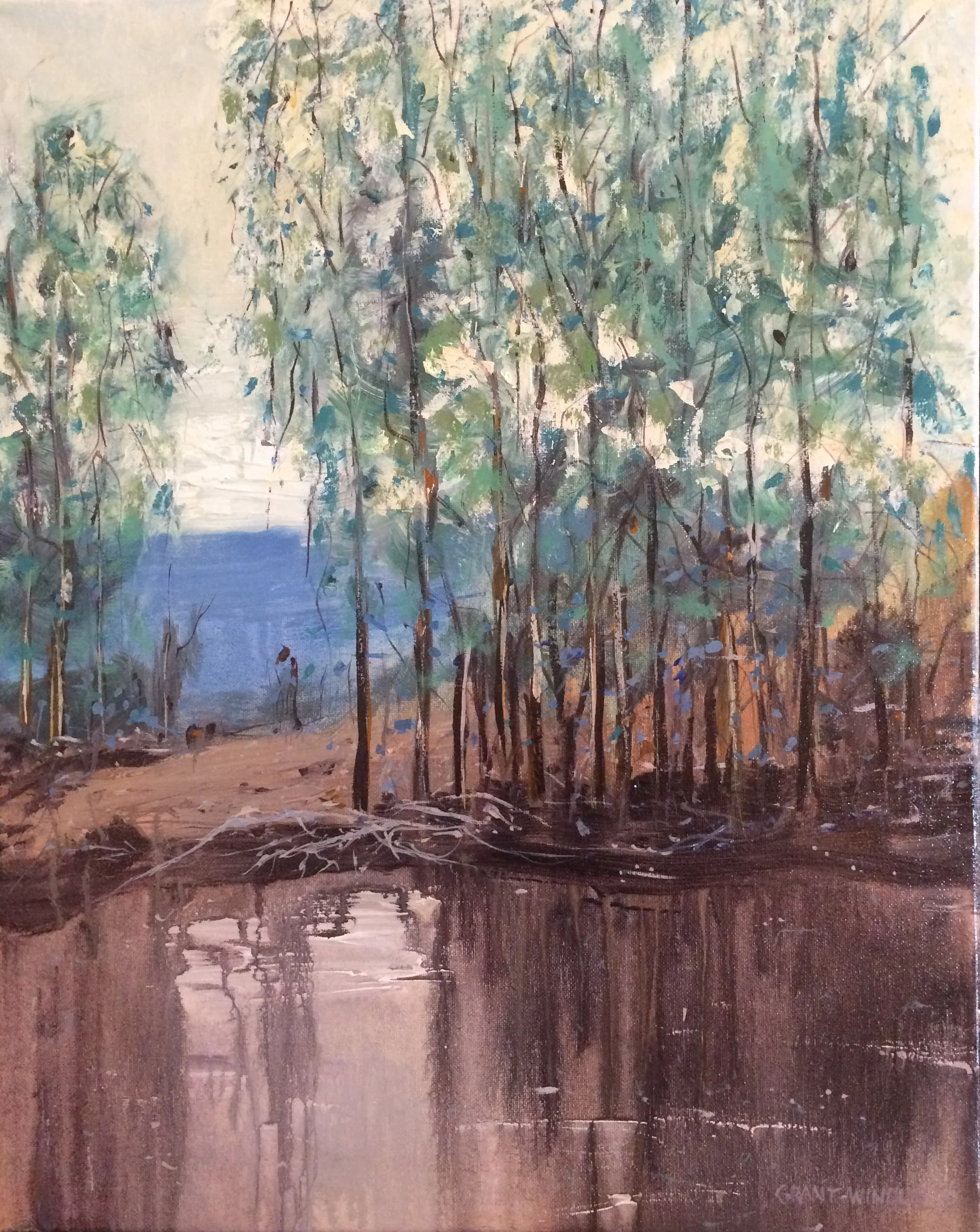 The Billabong