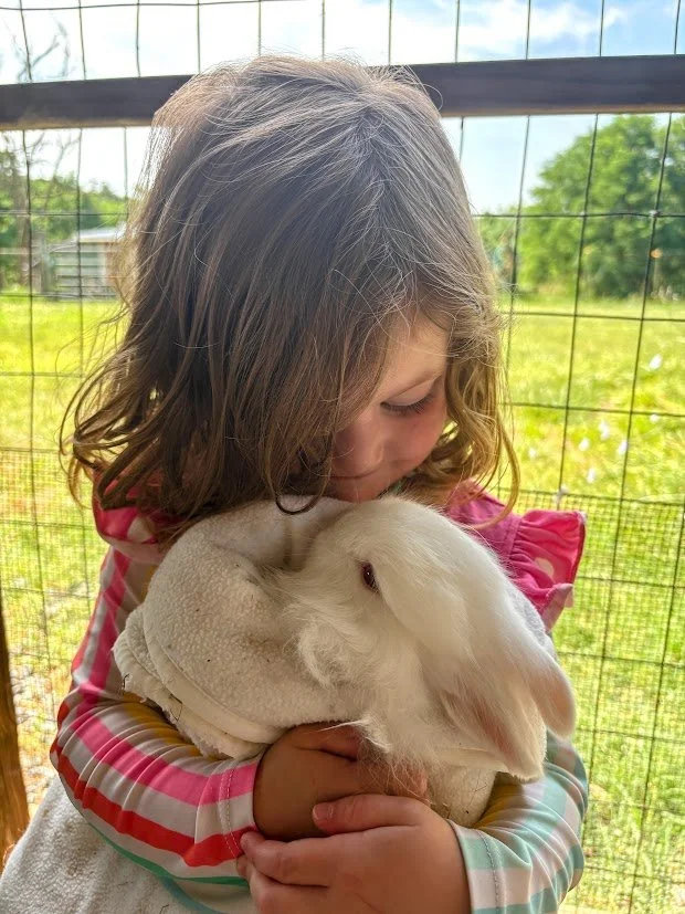 Bunny.jpg