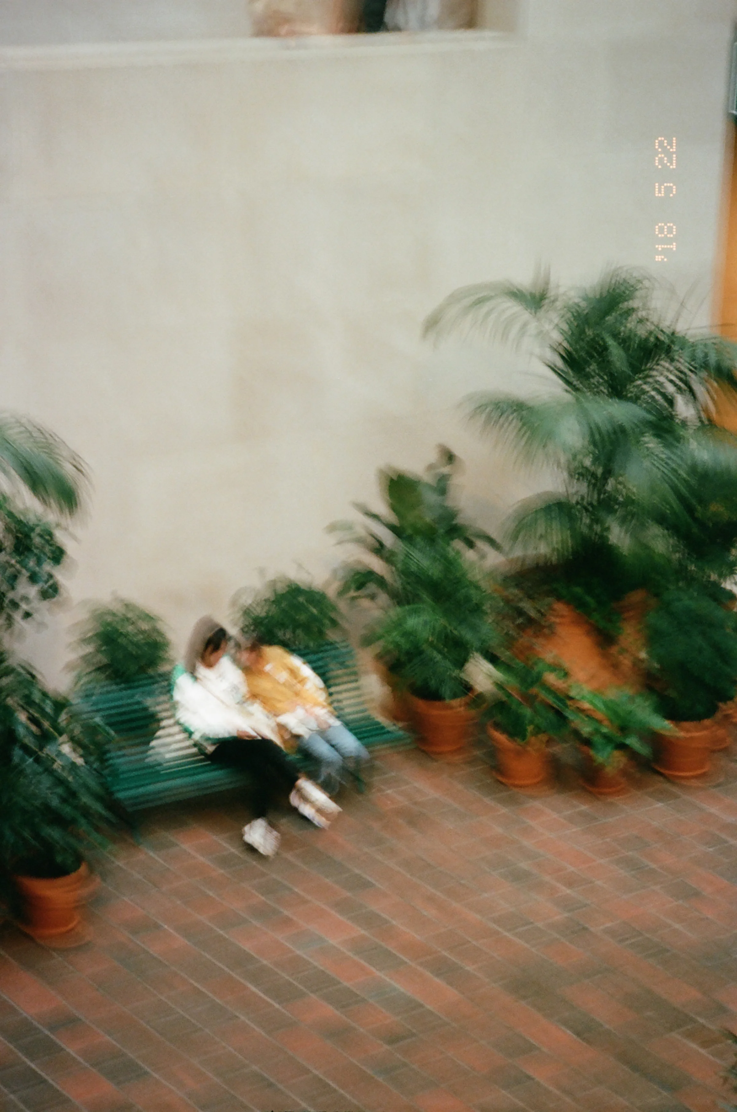 83400004.JPG