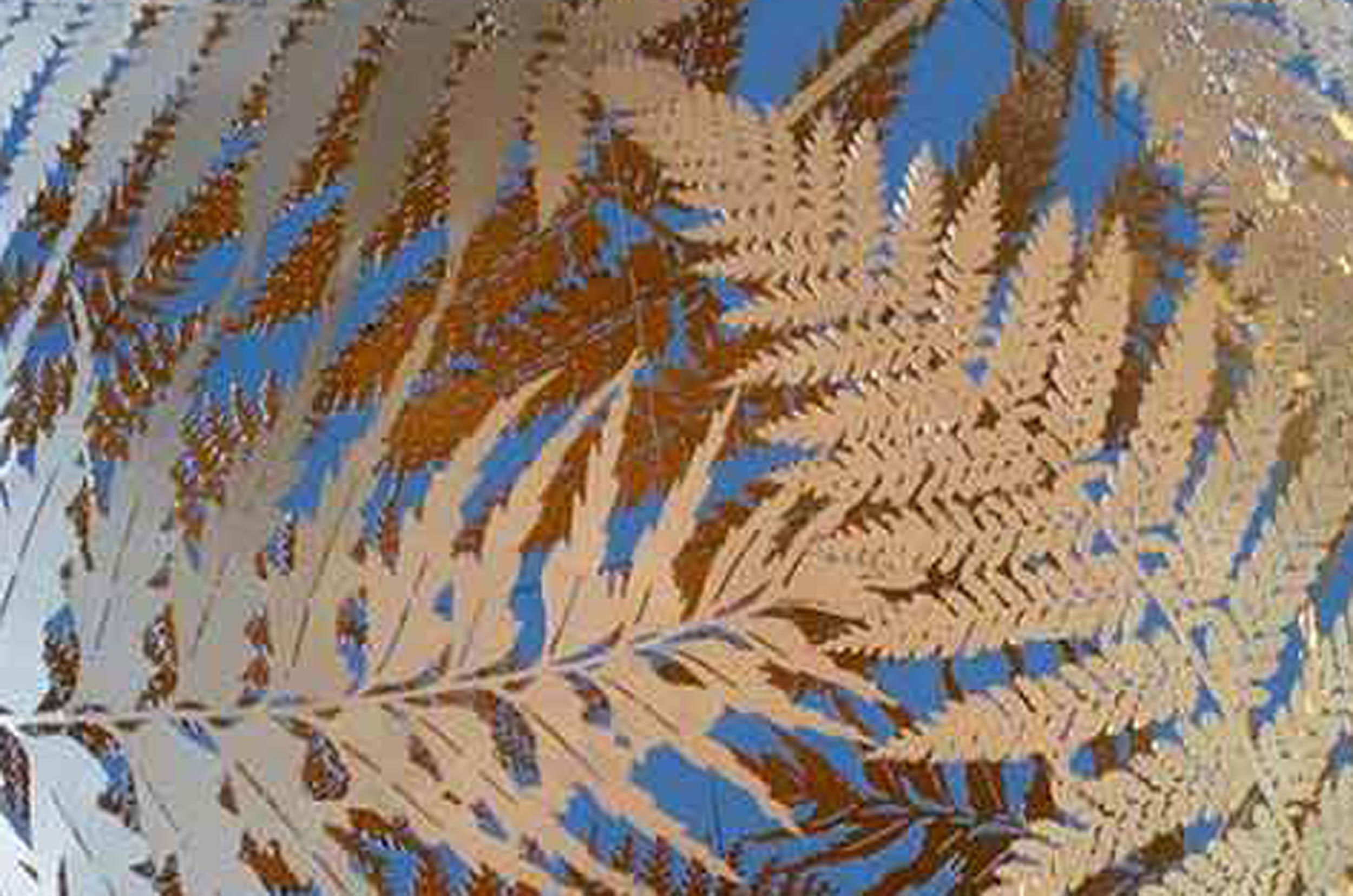 Tee Property Services Ltd