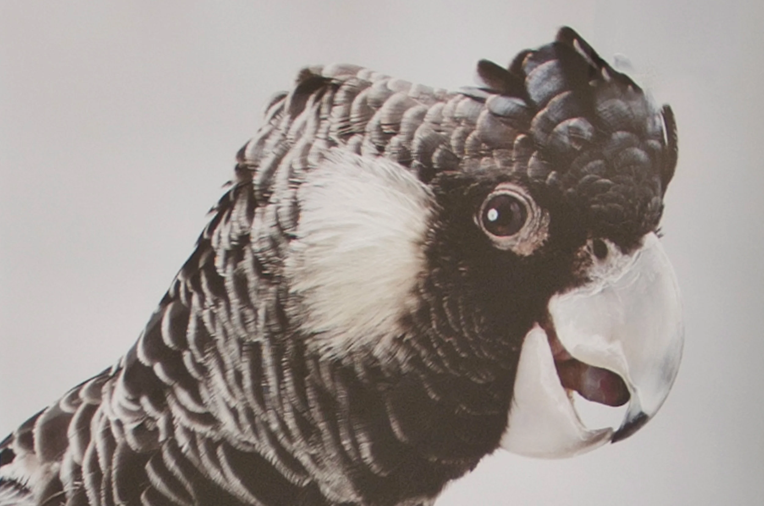 Tee Property Services Ltd