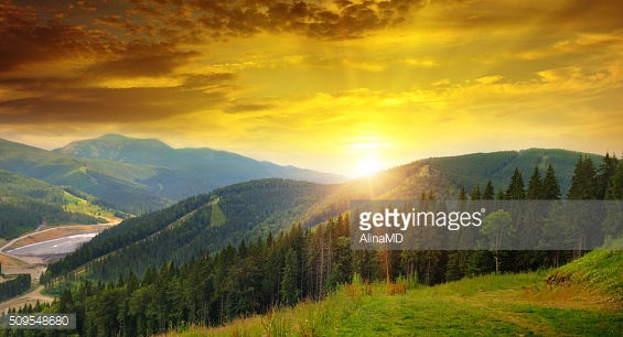 Photo by AlinaMD/iStock / Getty Images
