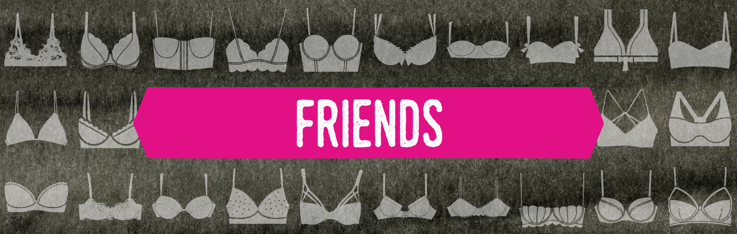 boobieque_sections_smaller_friends.png
