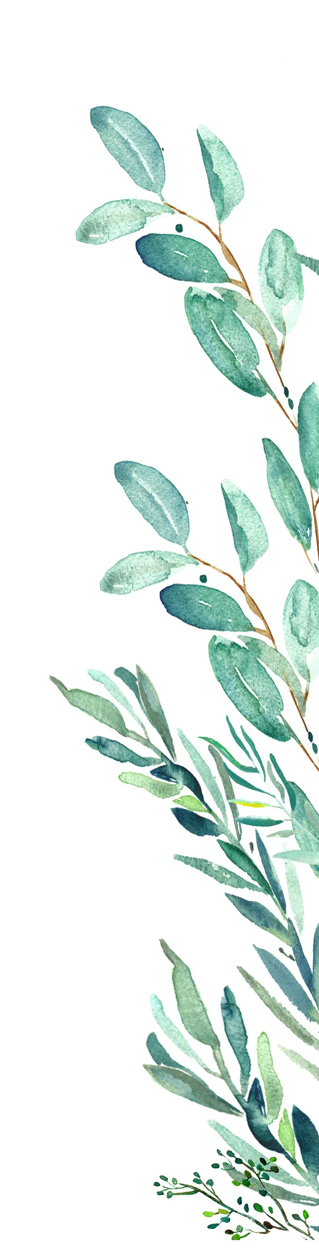 leaves2.jpg