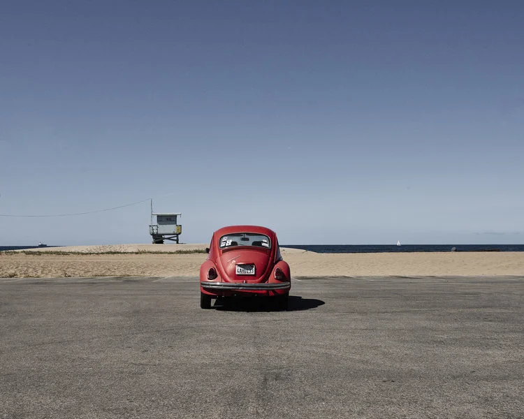 beetle.jpg