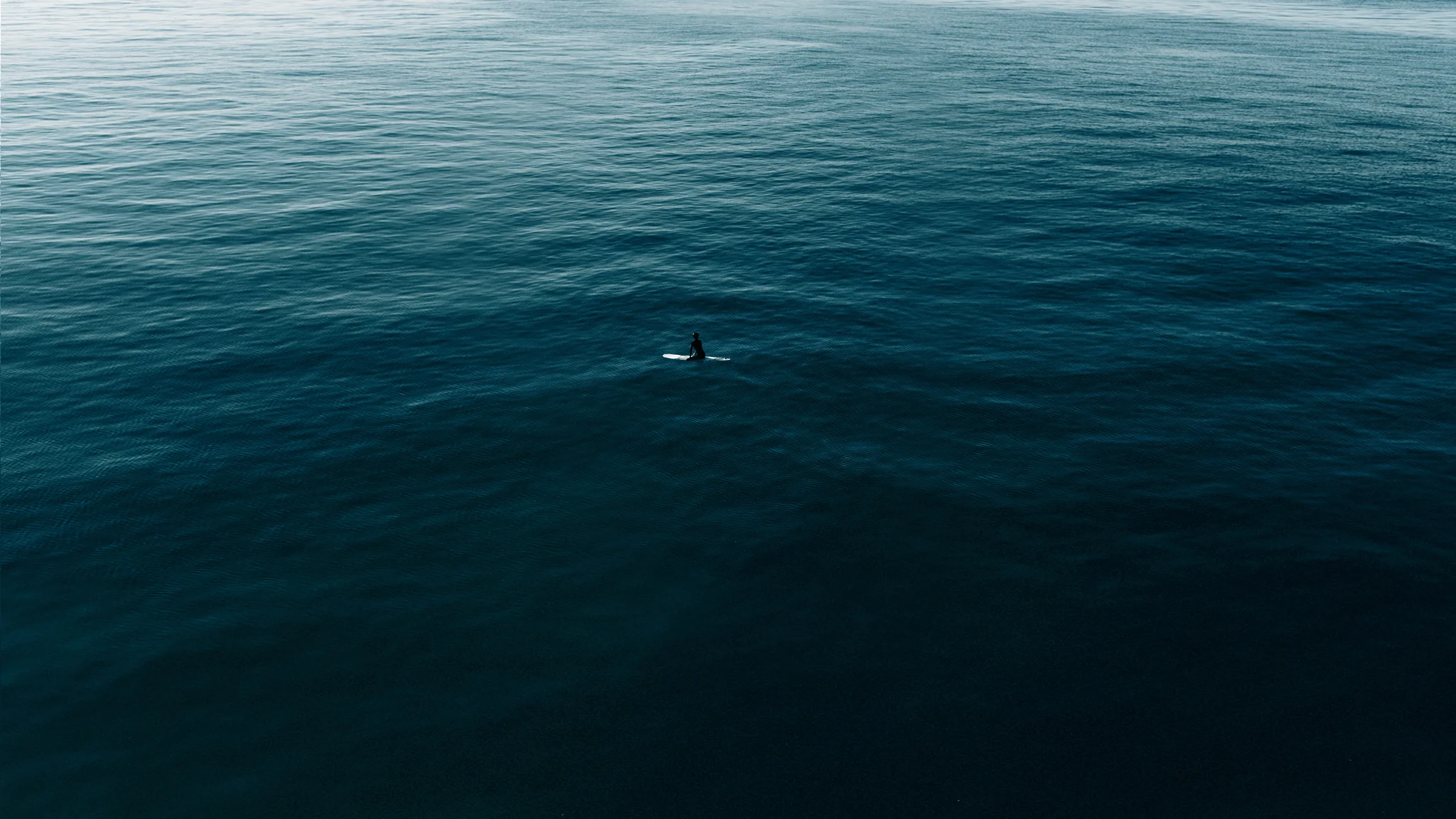 surf for site screen size.jpg