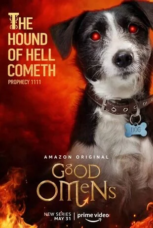 Dog-MP.jpg