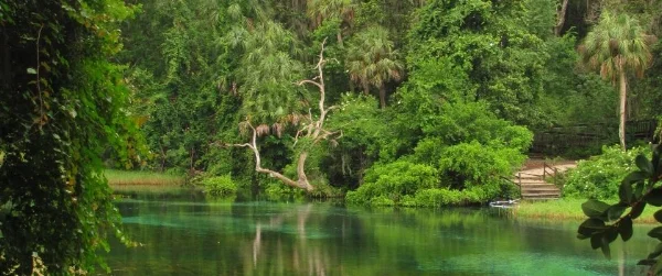 Rainbow Springs State Park