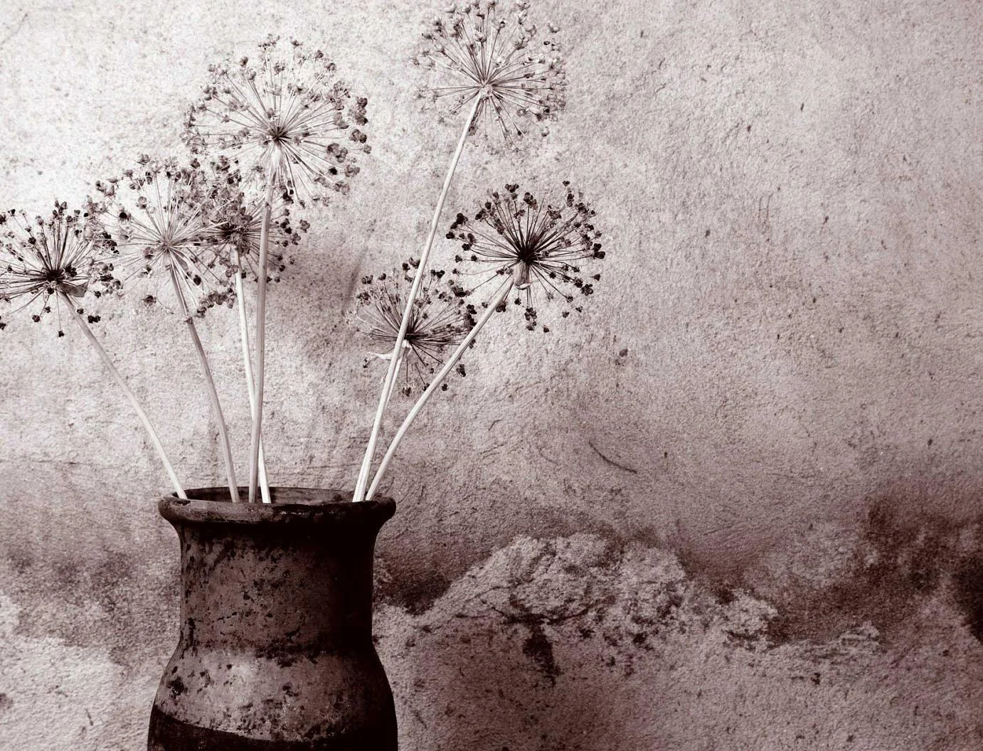 candidates_sepia_flowers.jpg