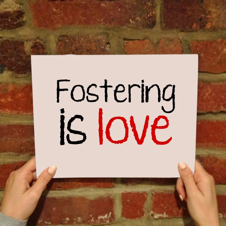 Don't Panic! And Other Ways to Answer God's Call to Foster Care in Your Life