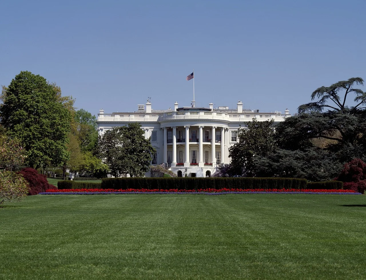 POLITICS BLOG (1)