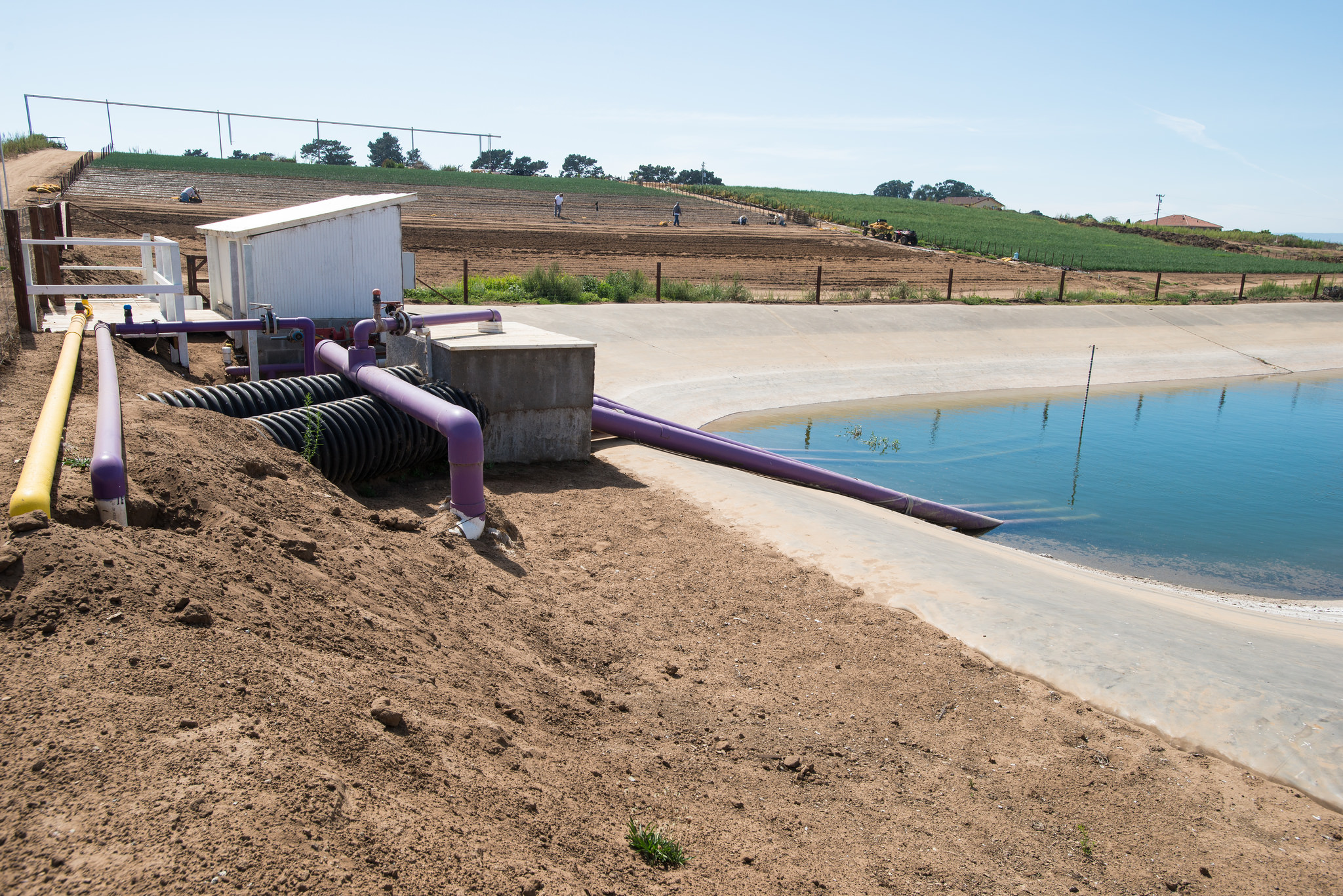 A recharge pond in California