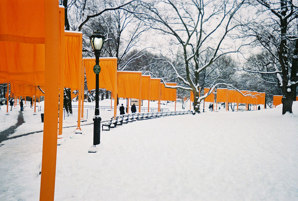 "the Gates" in Central park