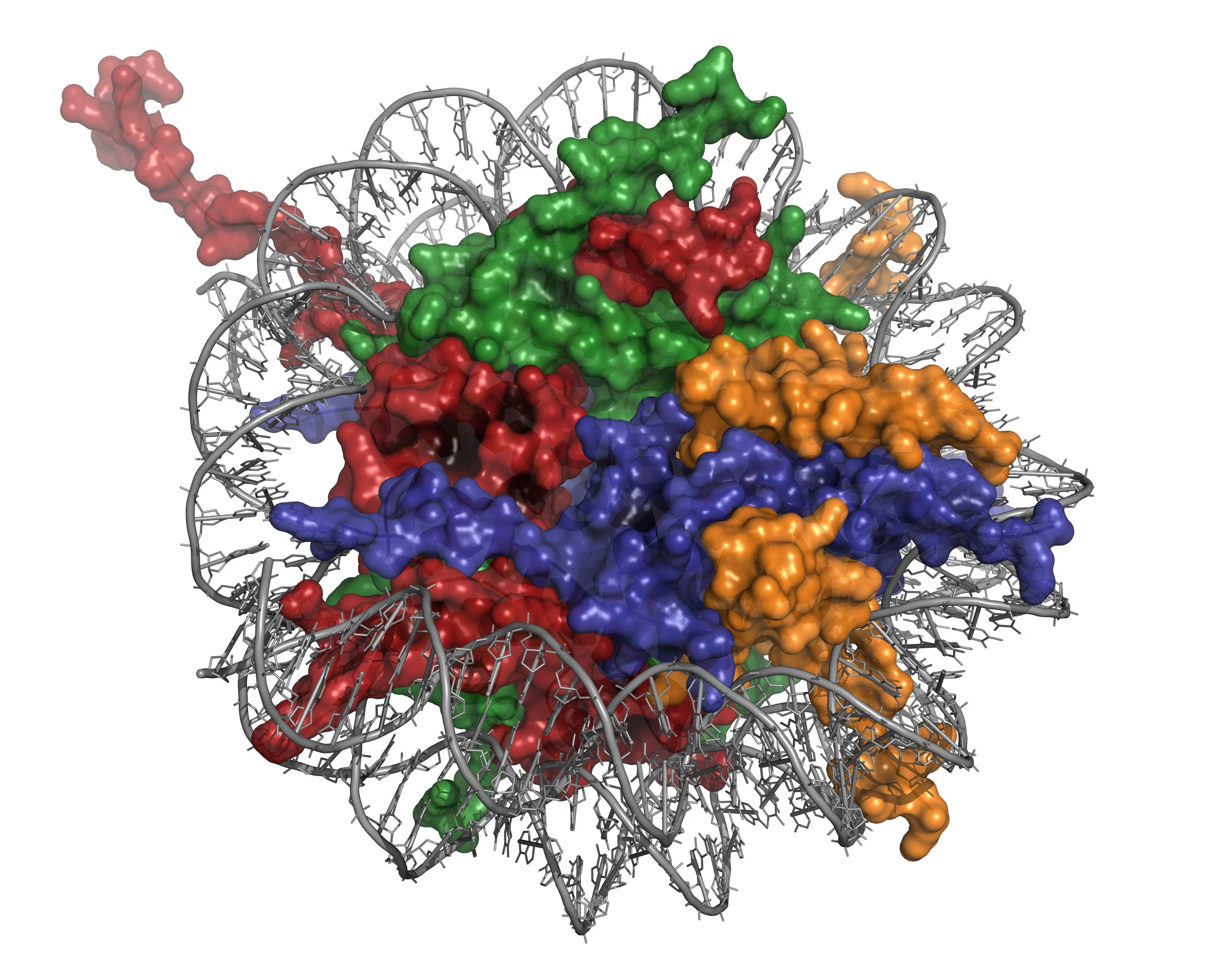 Research on Epigenetics is one area Allen is backing