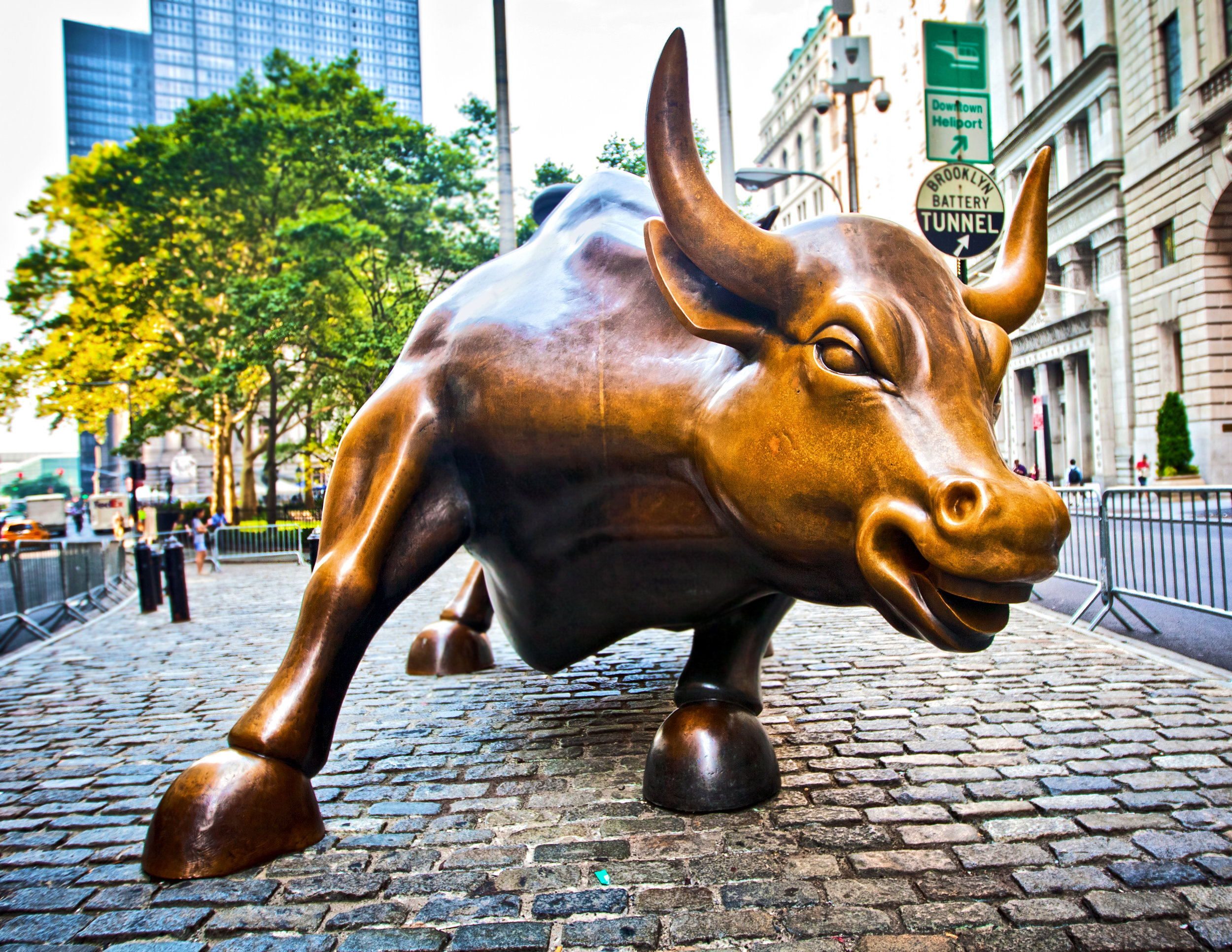 Photo: Stuart Monk/shutterstock