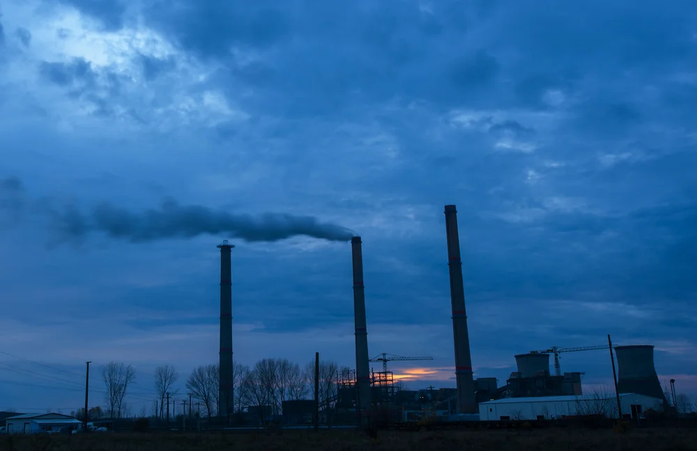 photo: Calin Tatu/shutterstock