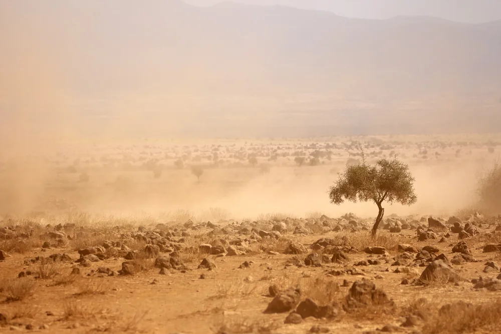 Drought stricken land in kenya. photo:&nbsp;&nbsp;EcoPrint/shutterstock