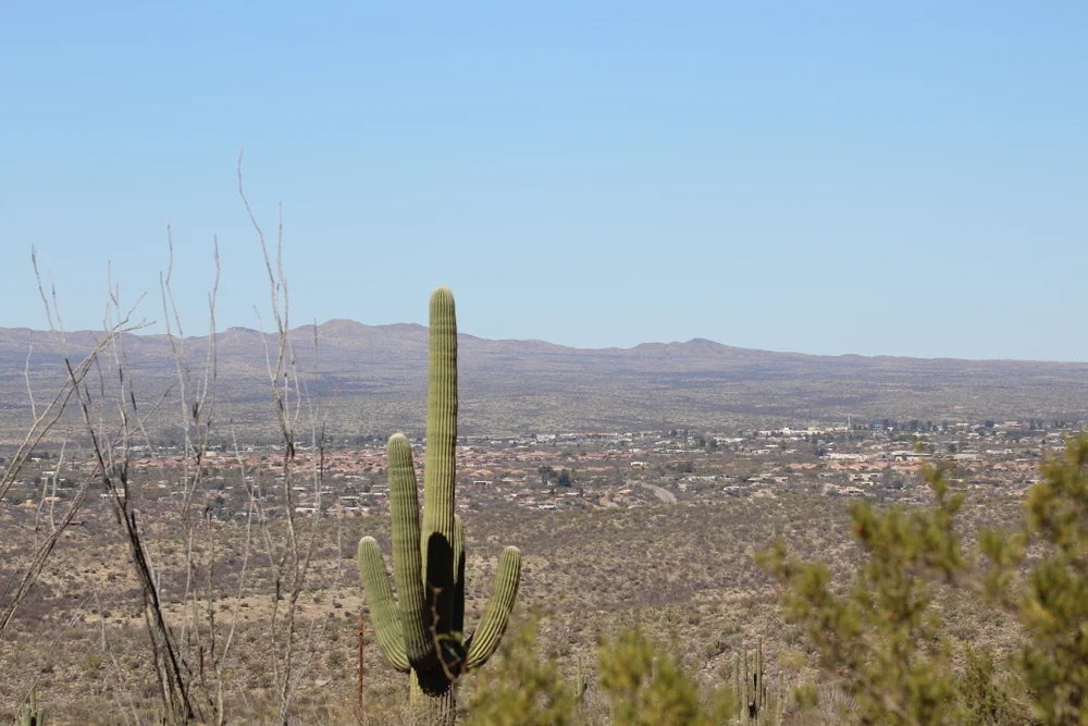 Oro valley, az. photo: Abigail Halliday/shutterstock