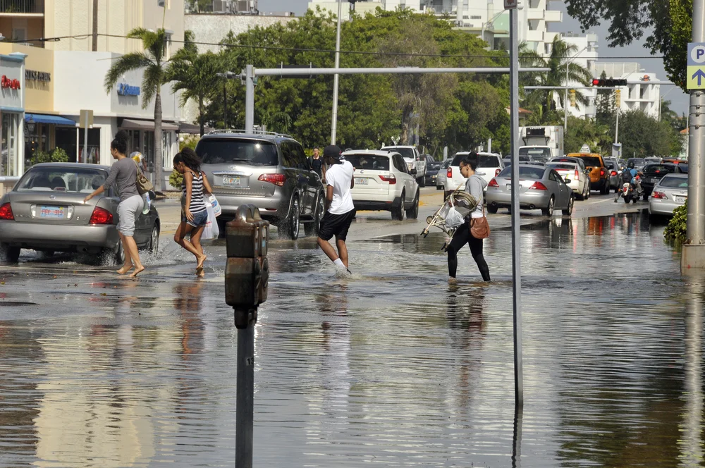 flooding in miami. meunierd/ shutterstock: