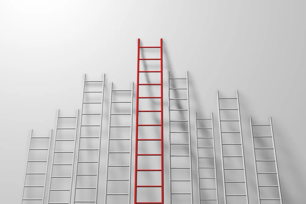 photo: Kostsov/shutterstock