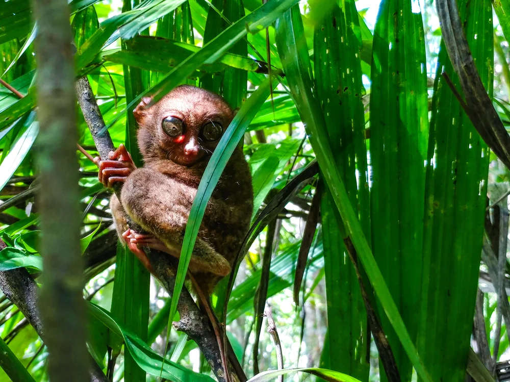 photo: photoGiOraphy/shutterstock