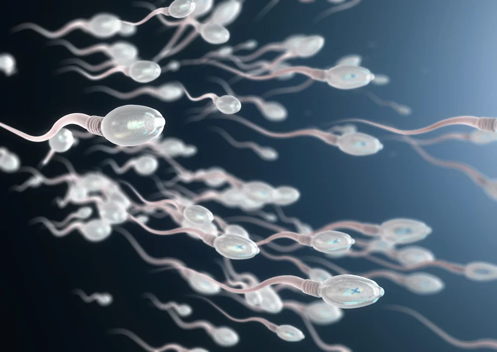 photo: Christoph Burgstedt/shutterstock