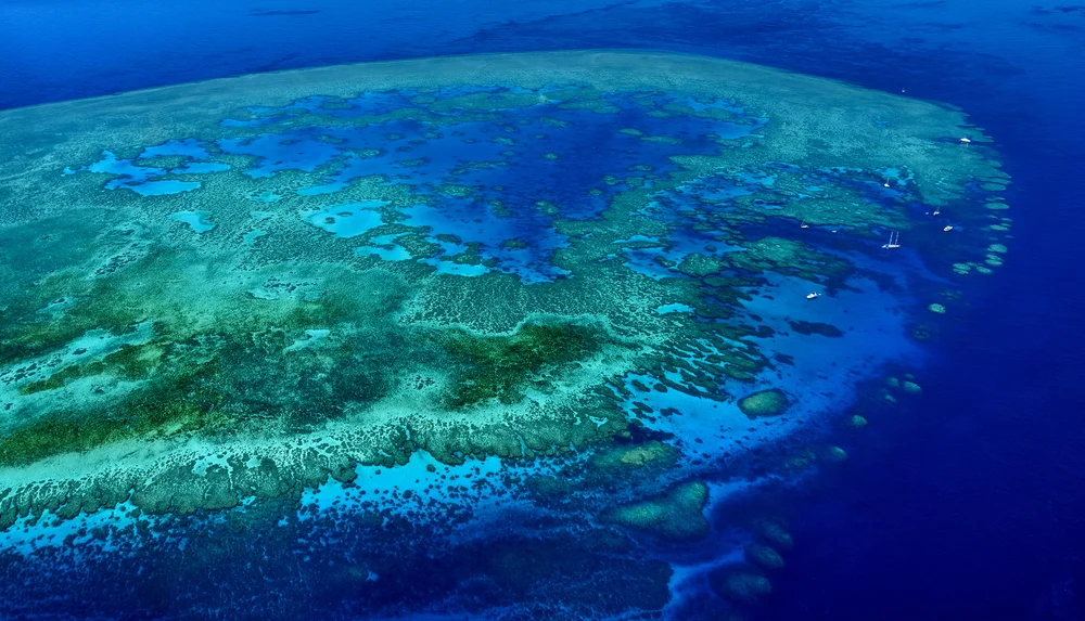 Great Barrier Reef. photo: ProDesign studio/shutterstock