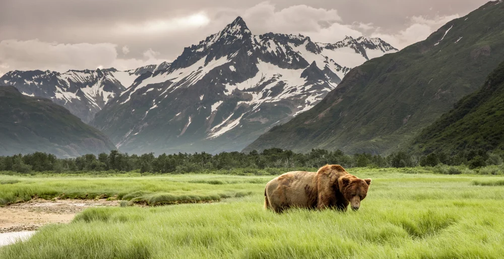 photo: Robert Frashure/shutterstock