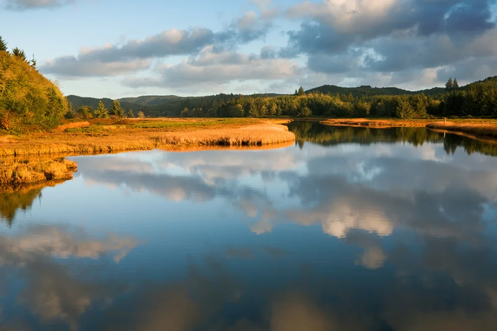 Willapa Bay, WA. vewfinder/shutterstock