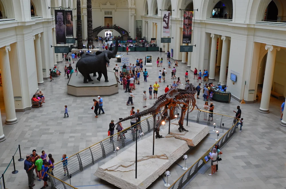 The field museum has been a regular grantee of the Gross foundation. ImagineerInc/shutterstock