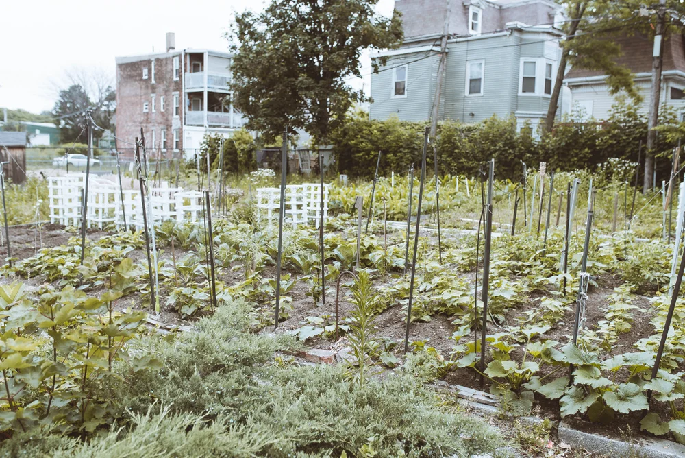 In Boston, a Foundation Sees "Radical Trust" as a Key to Managing Public Places