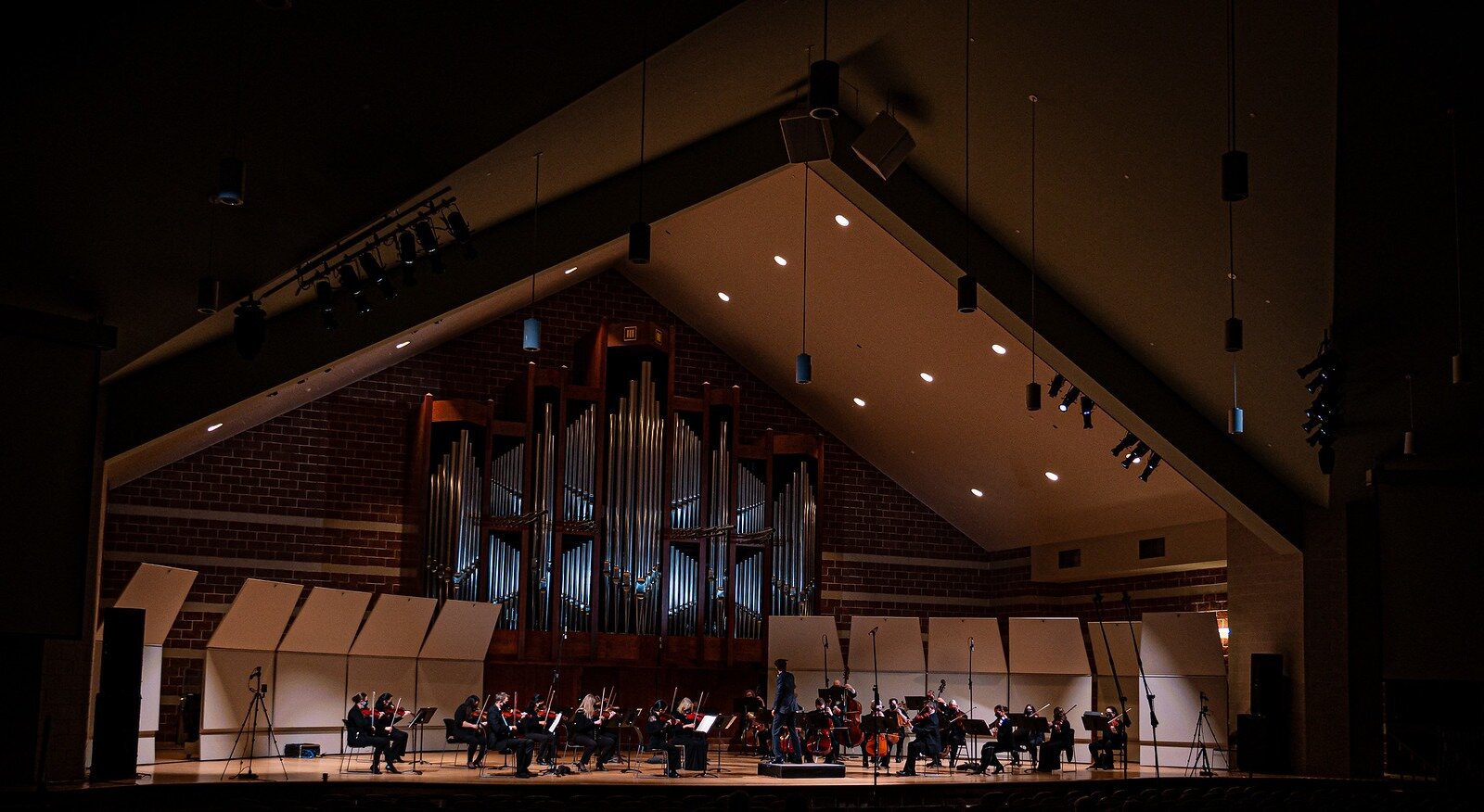 The illinois Philharmonic orchestra/photo: IPO