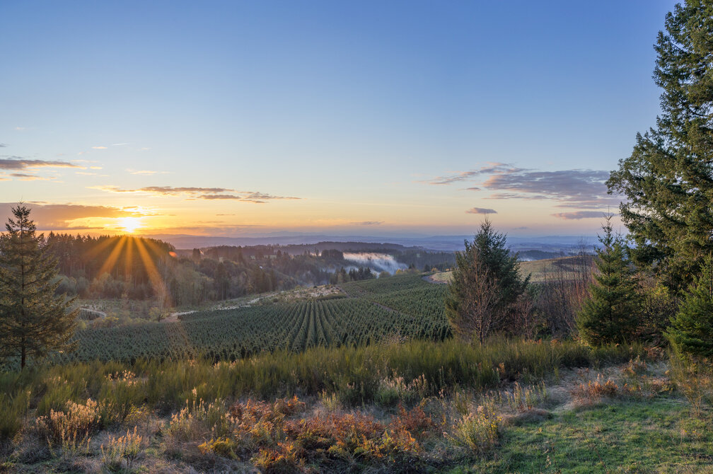 How Spending Down Deepened a Pacific Northwest Funder’s Relationships with Grantees