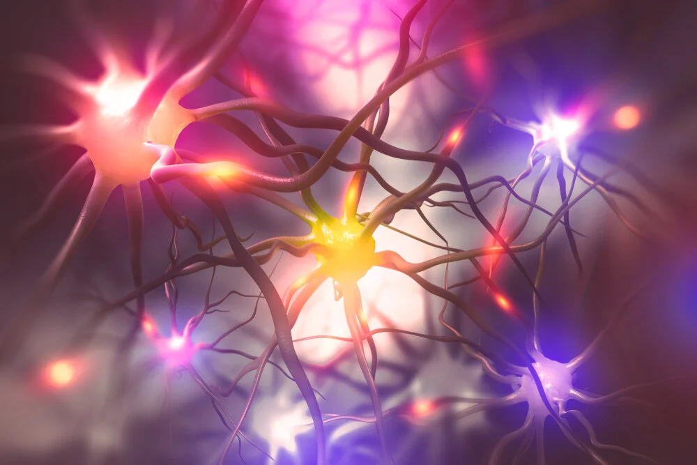 How Personal Tragedy Shaped a Major Funder of Neurodegenerative Disease Research