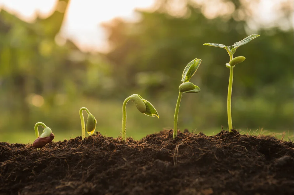 “All Things Change.” Inside a Family Foundation’s Journey Toward Sharing Power