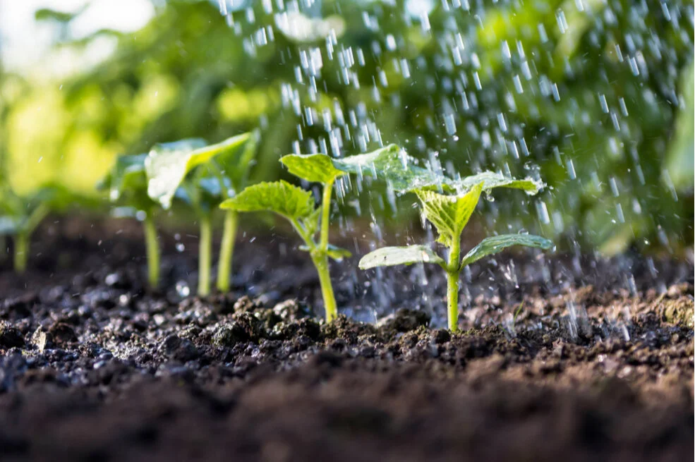 Why Big Philanthropy Falls Short at Supporting the Grassroots—and How it Can Do Better