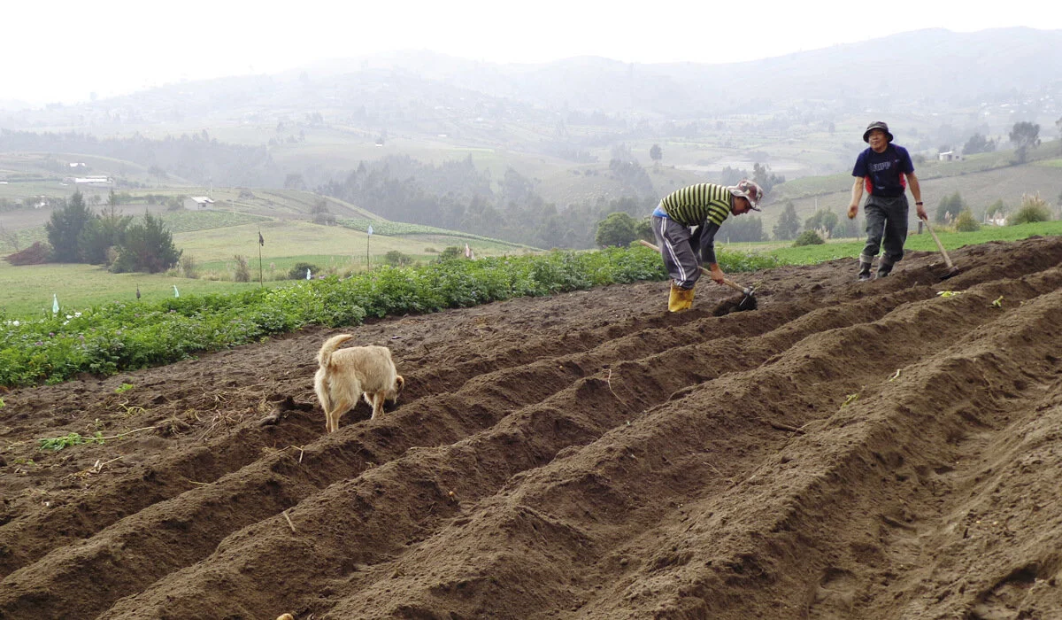 Why We’re Investing to Transform Global Food Systems