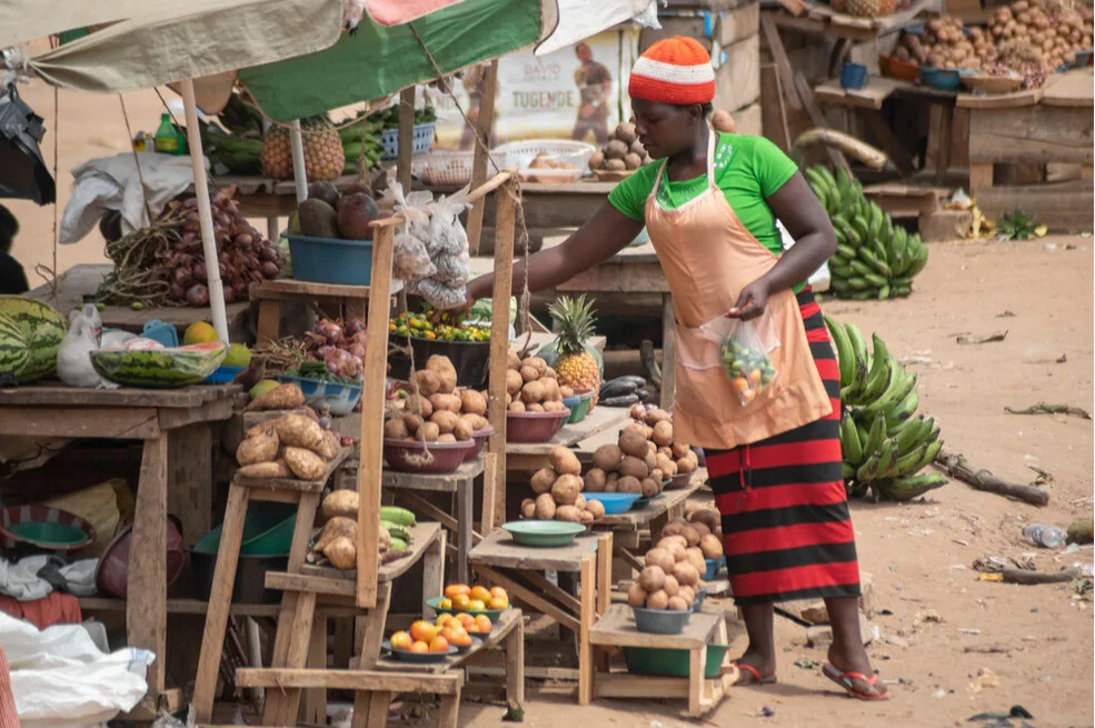 Tackling Global Food Security at a U.N. Summit Raises Funding—and Dissenting Voices