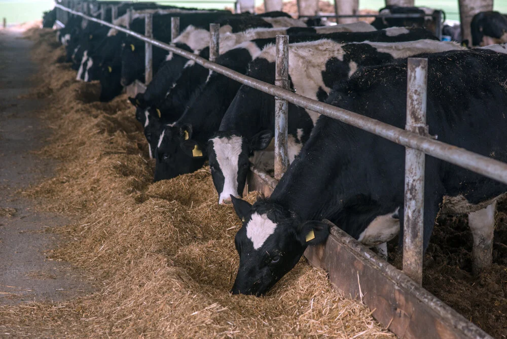 Prompted by the Biden Administration, Funders Come Together to Curb Methane Emissions