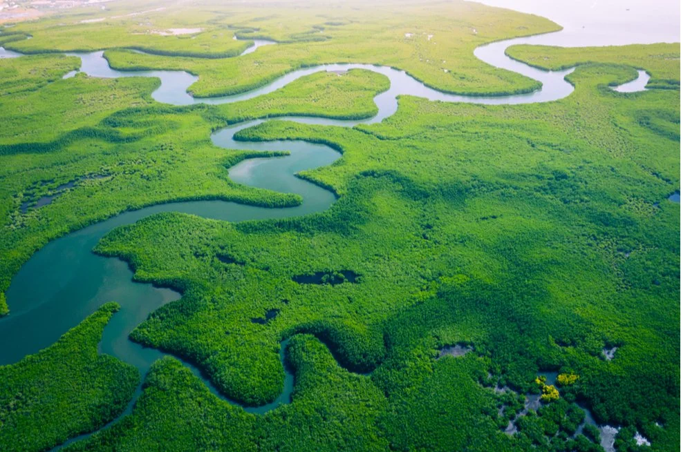 Another Big Pledge from Bezos: What We Know About a Commitment to Land and Food Systems