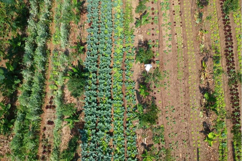 Nine Affinity Groups that Keep Environmental Giving Going — and Growing