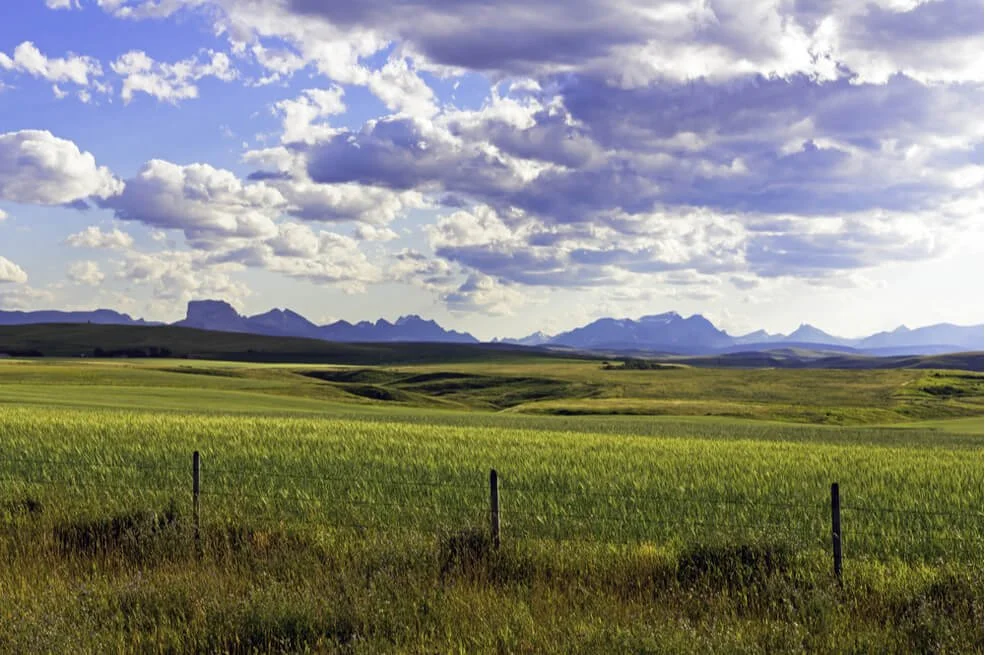 The U.S. Billionaires Funding Work to Keep the Planet Green and Clean