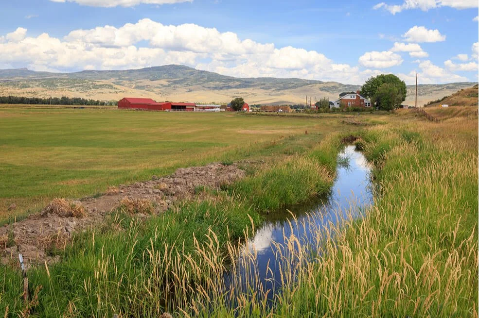 Eight Leading Foundations Working to Keep Forests Green, Water Pure and Farms Fertile