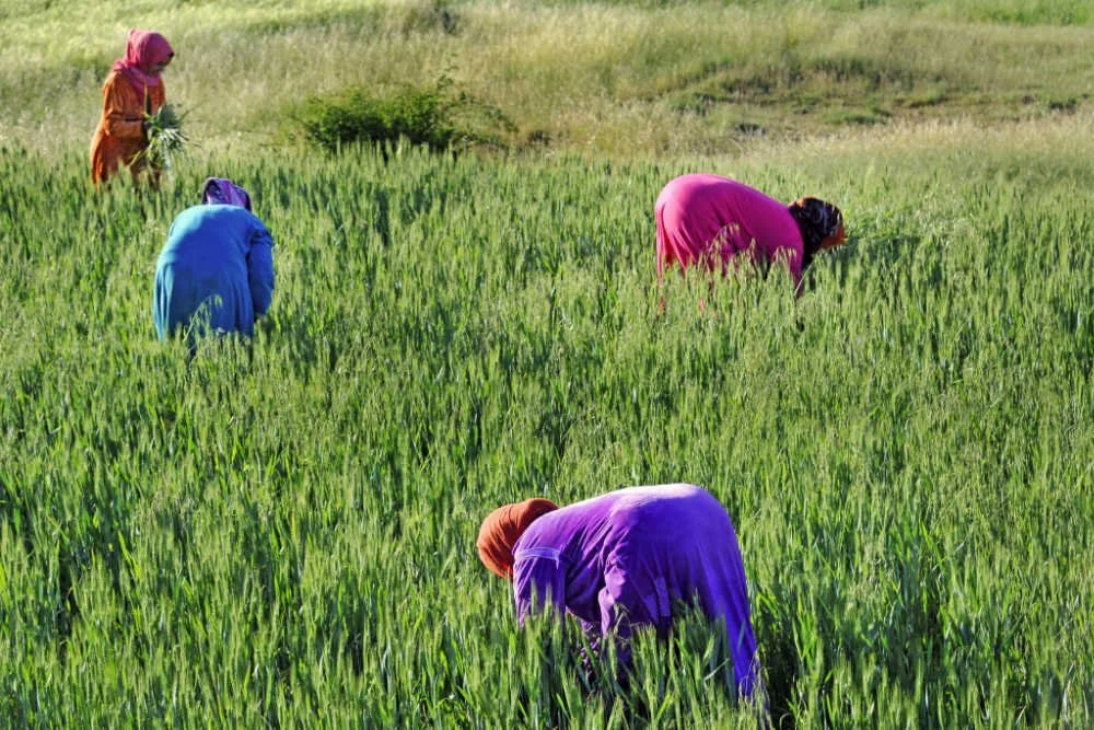 Ten Reflections on a Decade Building a Global Philanthropic Alliance