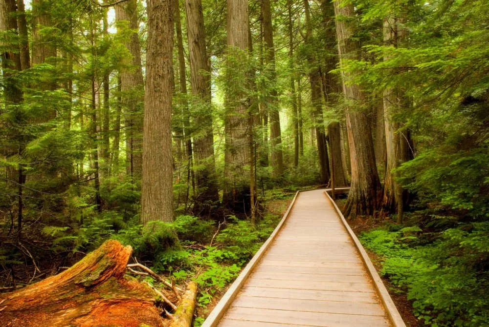 With Its Founder Gone and a New Leader in Place, the Robertson Foundation Is Set to Evolve