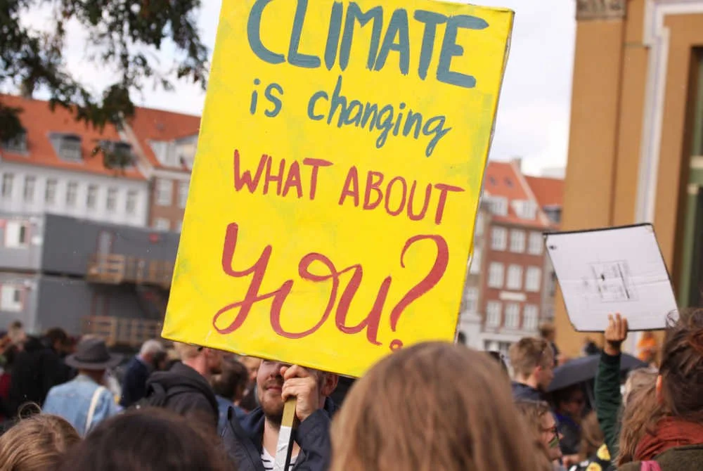 What Are Conservation, Pollution and Ag Funders Looking For Right Now? Fundraisers Weigh In