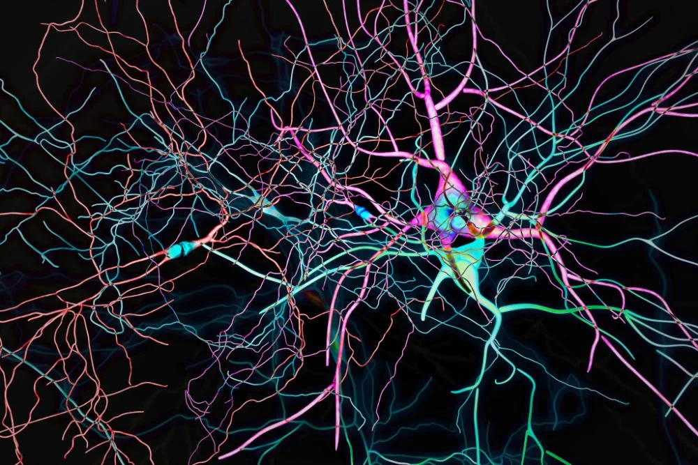 As Americans Grow Older, These Funders are Advancing the Field of Cognitive Aging Research