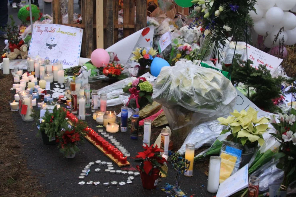 With a Broad Agenda and A-List Backers, Sandy Hook Promise Is a Fundraising Powerhouse