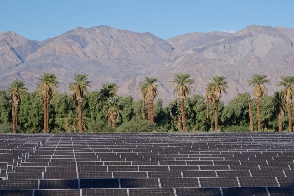 Green Middleweights: 25 Prominent, Mid-Sized Environmental Grantmakers