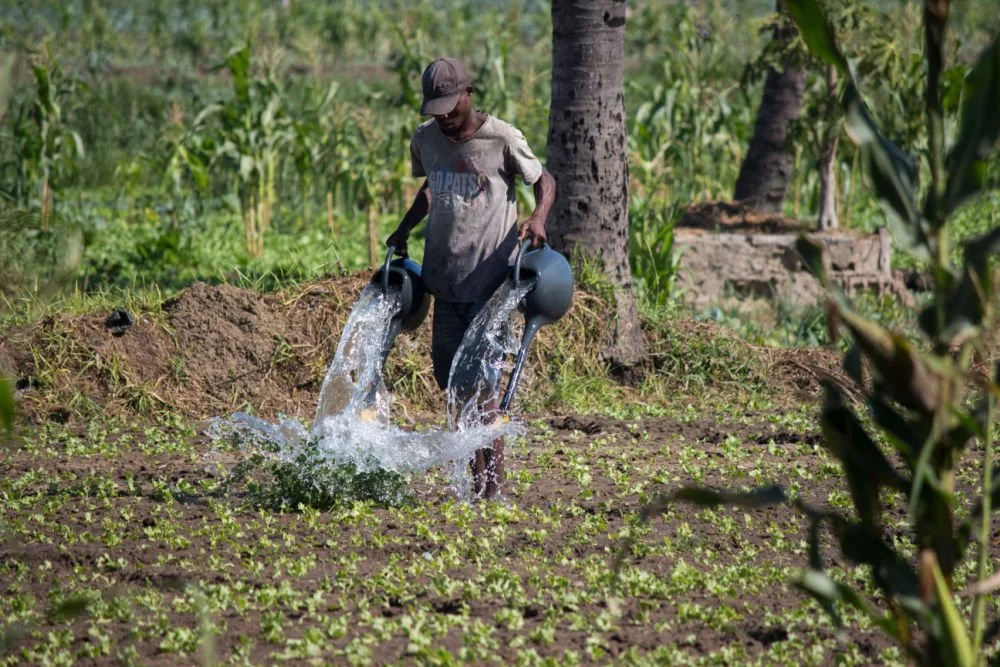 MacKenzie Scott Is Funding to Empower People Globally. Here’s What We Know About Her Priorities